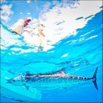 Tailhunter Sportfishing Pangas - Fish La Paz - the "Gateway to the Sea of Cortez"