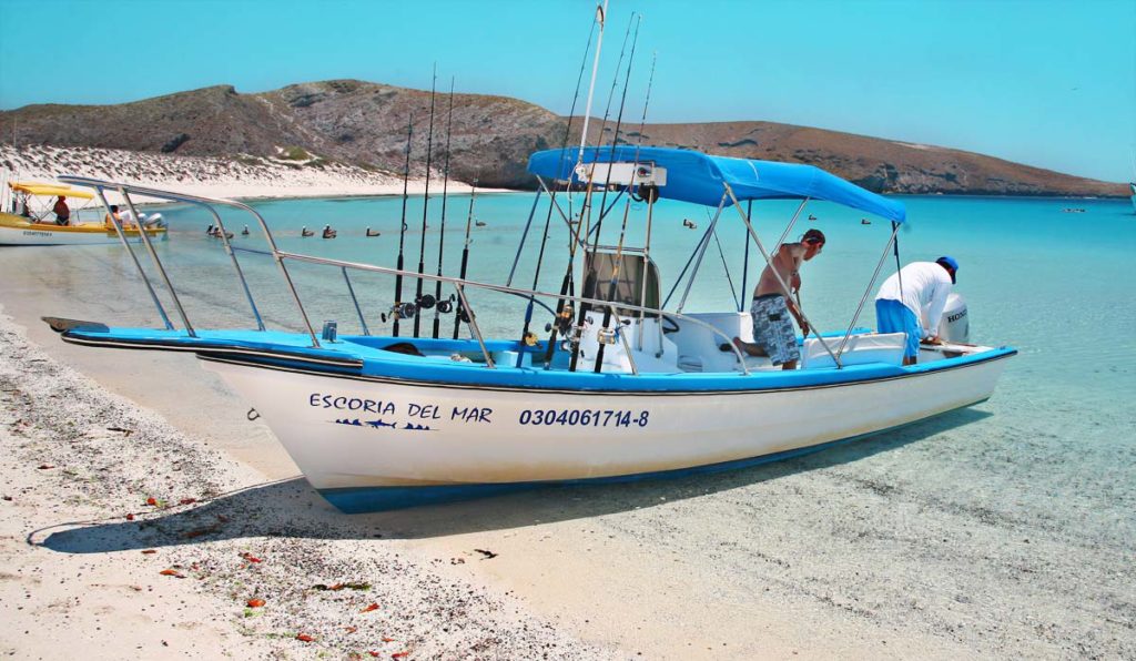 Tailhunter Sportfishing Boats in La Paz