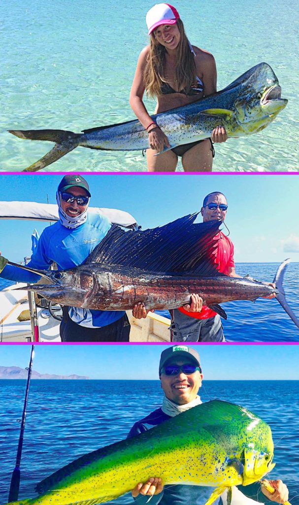 Tailhunter Fishing Charter Full Service Outfitter in La Paz, Baja Sur
