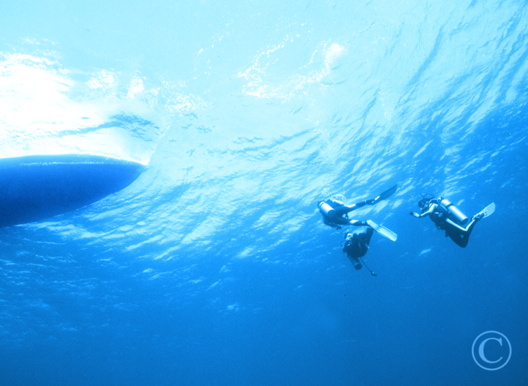 Scuba Diving in the Sea of Cortez with TAILHUNTER TOURS, La Paz Baja Sur