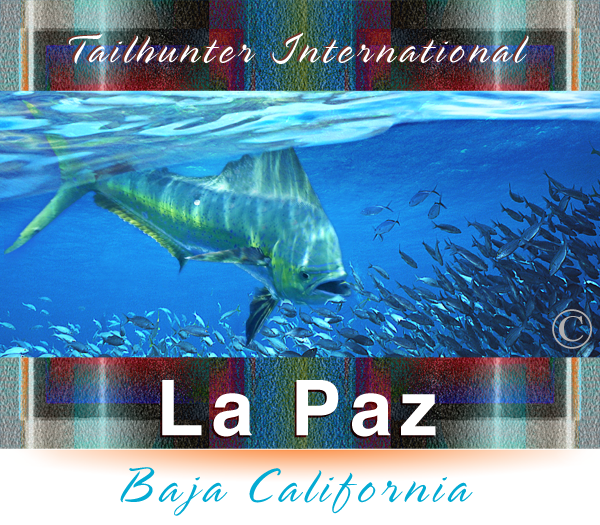 Best Rated Sea of Cortez Charter Fishing Boats .. TAILHUNTER SPORTFISHING in La Paz Mexico