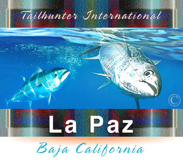 BEST CHOICE Sport Fishing in La Paz ..the Sea of Cortez ..Tailhunter Sportfishing