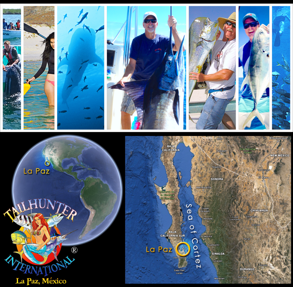 Where is La Paz Baja Sur ? Best Sea of Cortez Fishing ... TAILHUNTER SPORTFISHING ...Sea of Cortez Fishing Charters ..Hotel-Charter Packages • FISH BAJA • Jonathan Roldan's Tailhunter International ...Best Rated Full Service Sport Fishing Outfitter - La Paz, Baja Sur