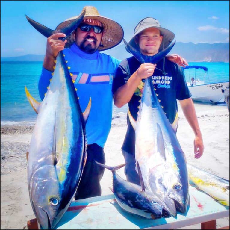 Best Rated Fishing Operator in La Paz ..TAILHUNTER SPORTFISHING